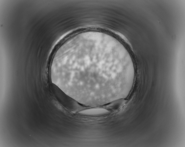 X0000083970879200703091800