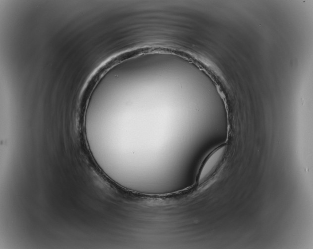 X0000083970880200703091800