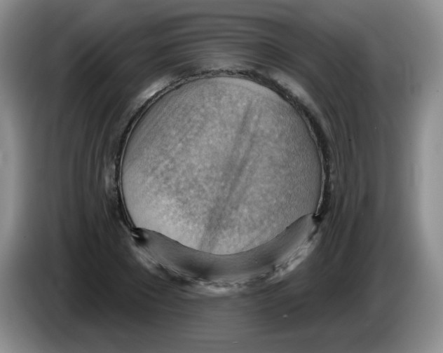 X0000083970881200703091800