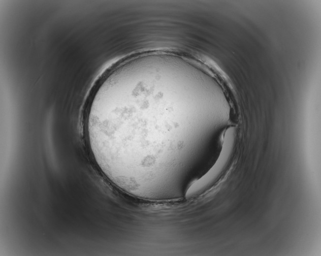 X0000083970883200703091800
