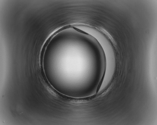 X0000083970884200703091800