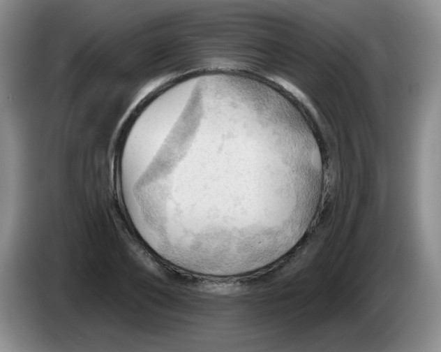 X0000083970886200703091800