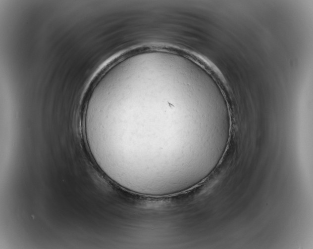 X0000083970887200703091800