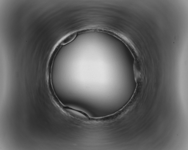 X0000083970888200703091800