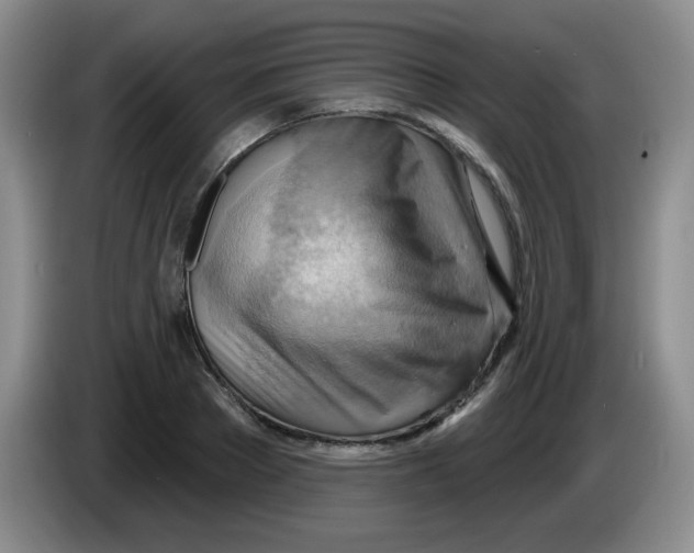 X0000083970889200703091800