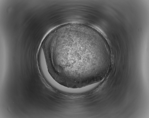 X0000083970891200703091800