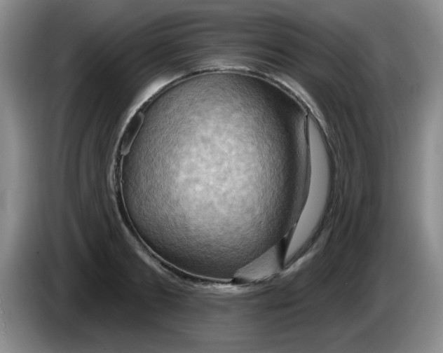 X0000083970893200703091800