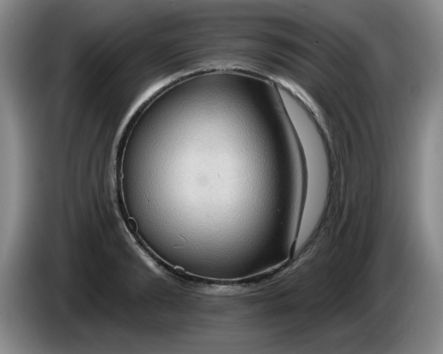X0000083970894200703091800