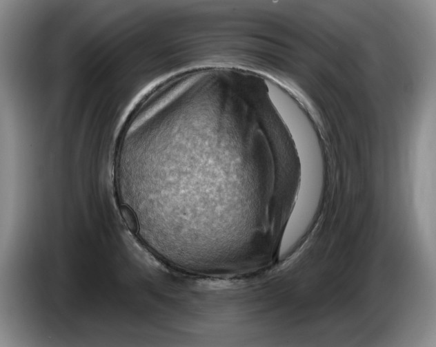 X0000083970896200703091800