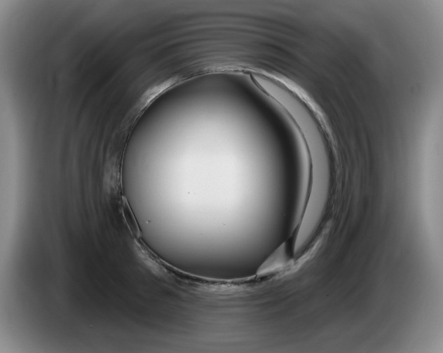 X0000083970897200703091800