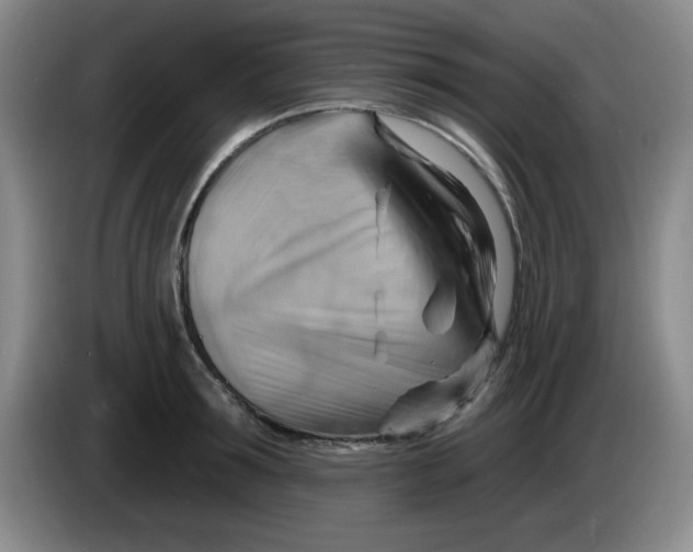 X0000083970899200703091800