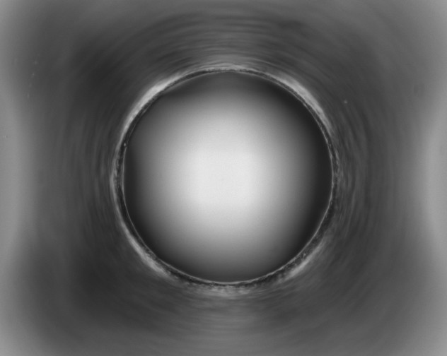 X0000083970901200703091759