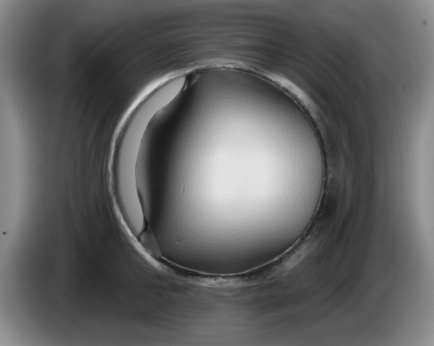 X0000083970902200703091759