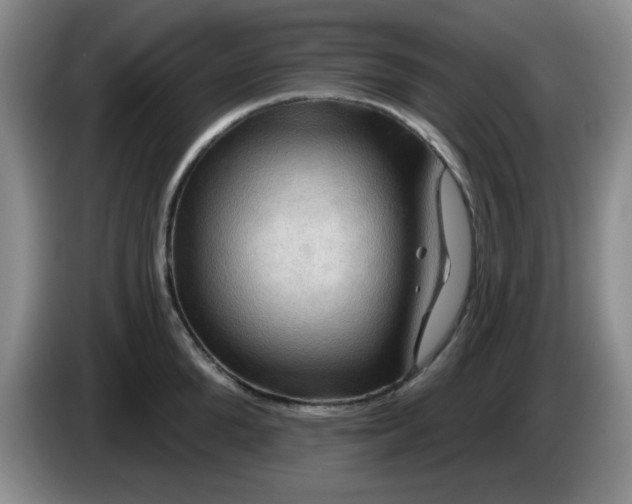 X0000083970904200703091759