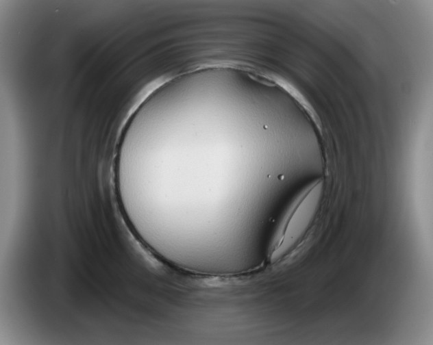 X0000083970906200703091759