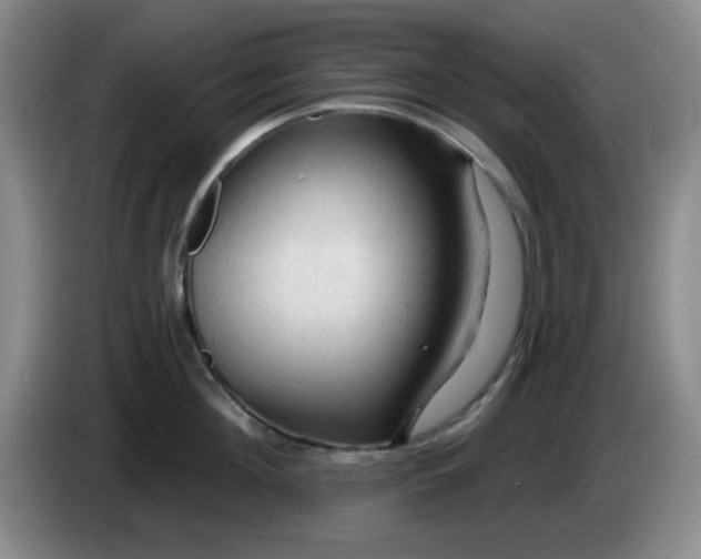 X0000083970908200703091759