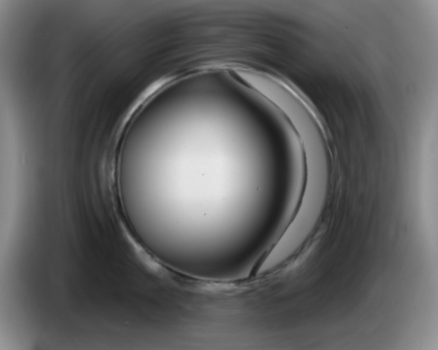 X0000083970909200703091759
