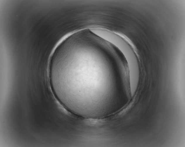 X0000083970910200703091759