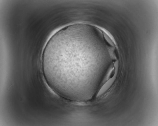 X0000083970911200703091759