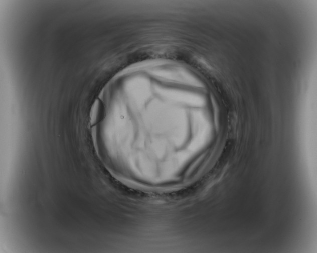 X0000083970913200703091759