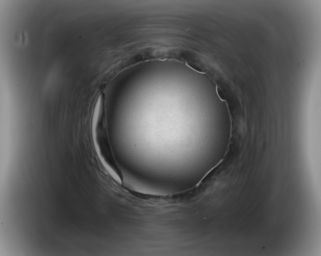 X0000083970914200703091759