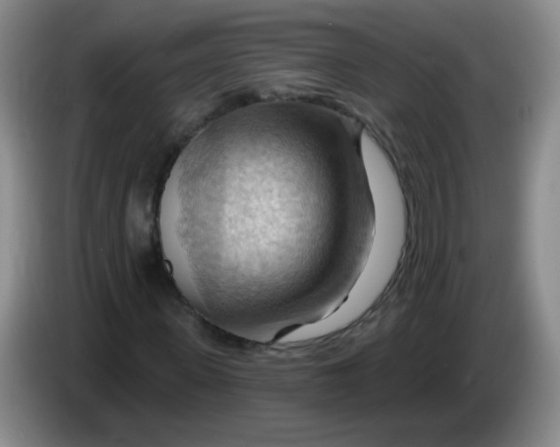 X0000083970915200703091759