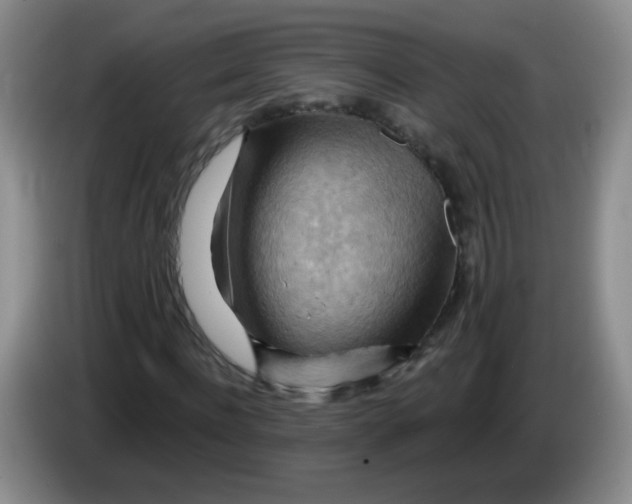 X0000083970916200703091759