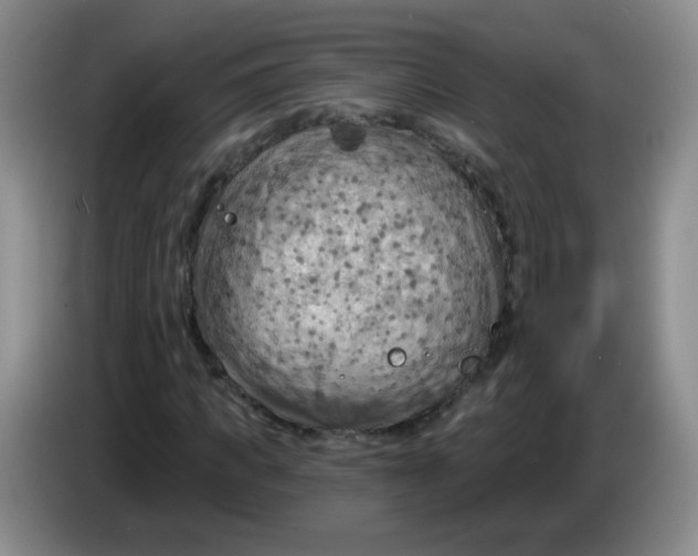 X0000083970917200703091759
