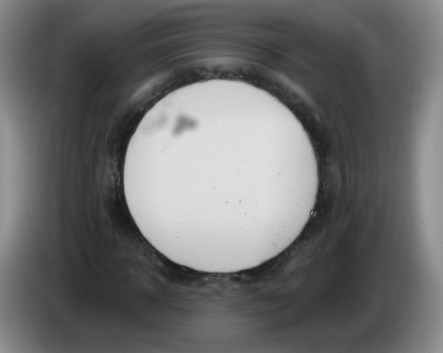 X0000083970918200703091759