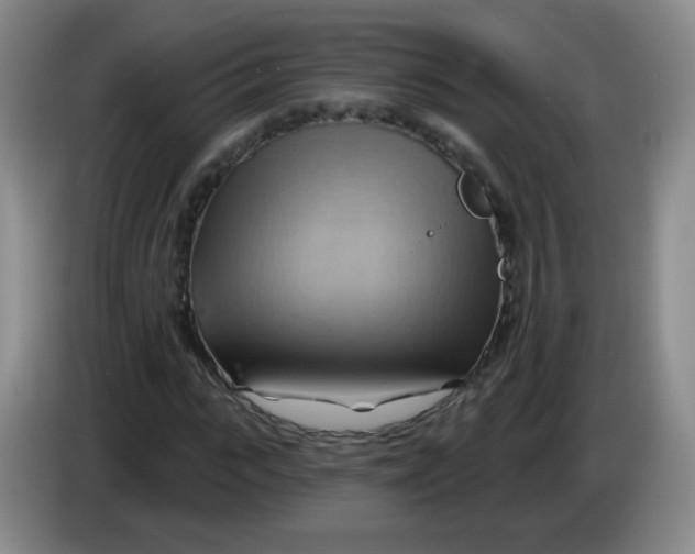 X0000083970919200703091759
