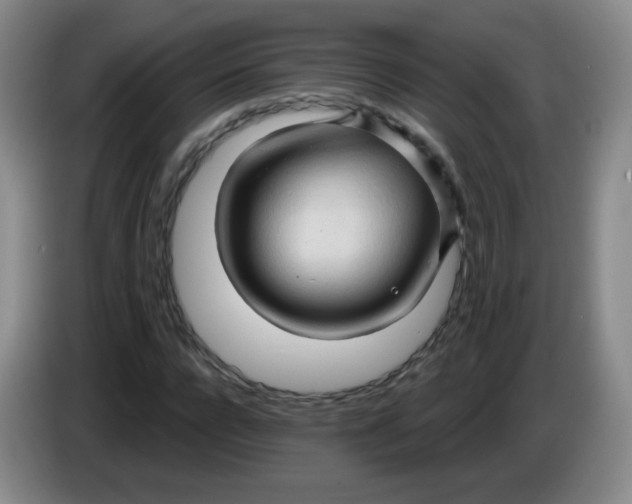 X0000083970920200703091759