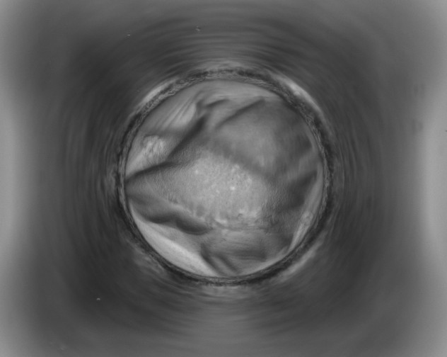 X0000083970921200703091759