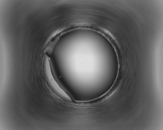X0000083970922200703091759