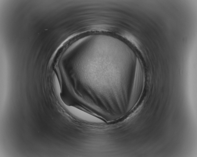 X0000083970923200703091759