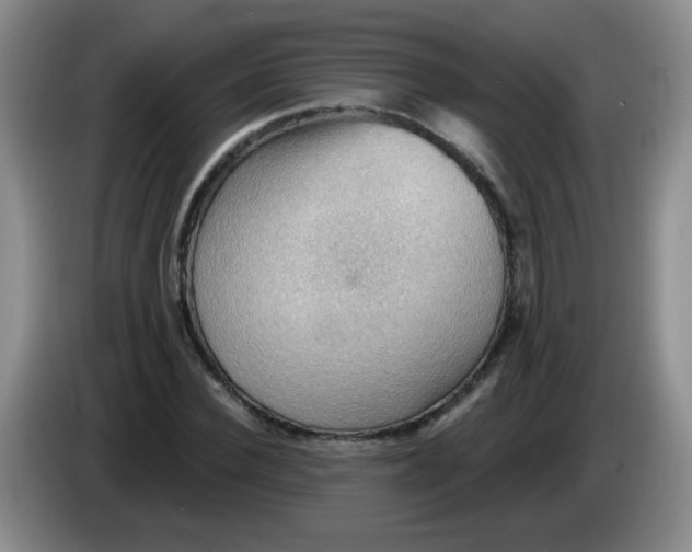 X0000083970924200703091759