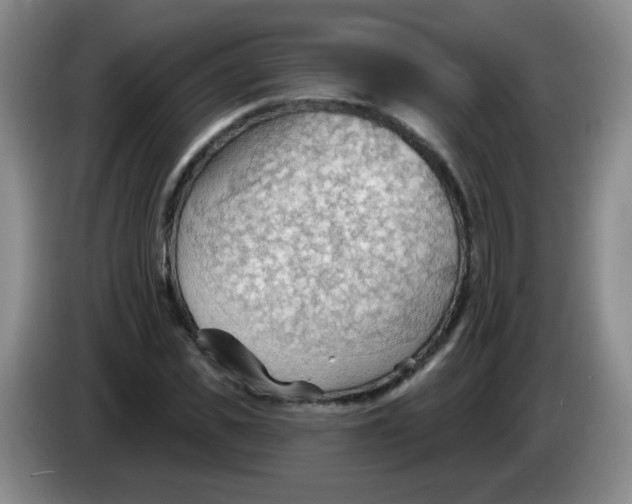 X0000083970925200703091759