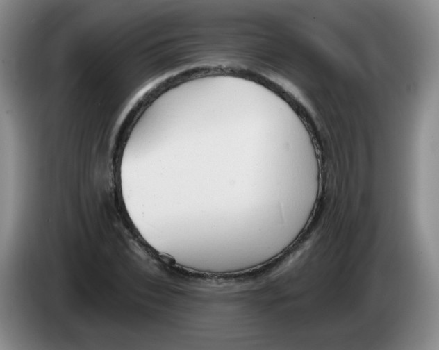 X0000083970927200703091759