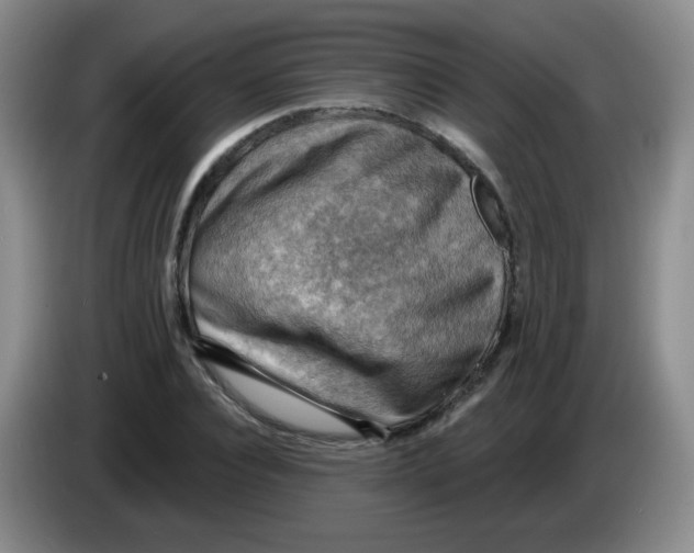 X0000083970928200703091759