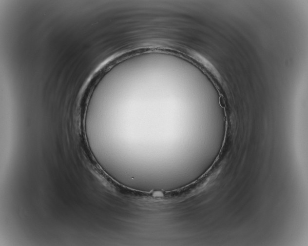 X0000083970931200703091759