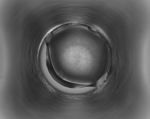 X0000083970932200703091759