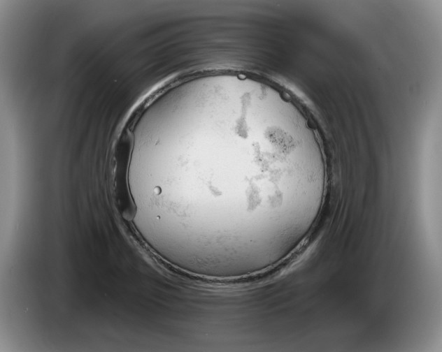 X0000083970933200703091759