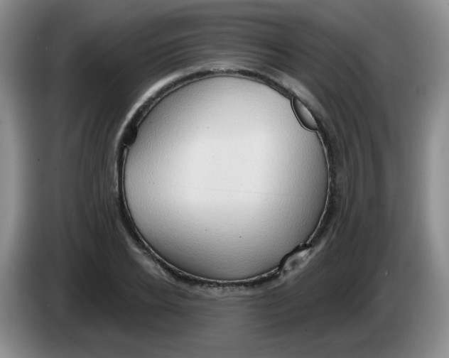 X0000083970934200703091759