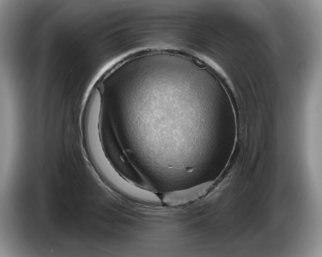X0000083970935200703091759