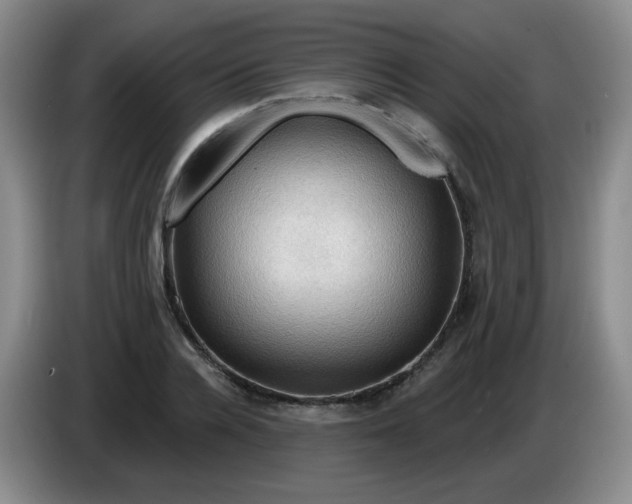 X0000083970936200703091759