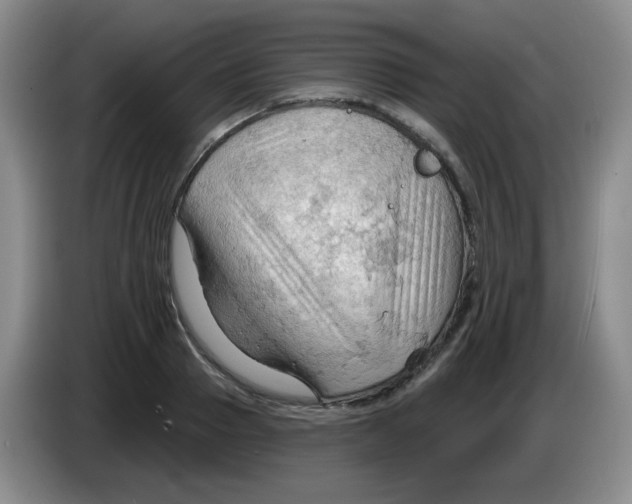 X0000083970937200703091759