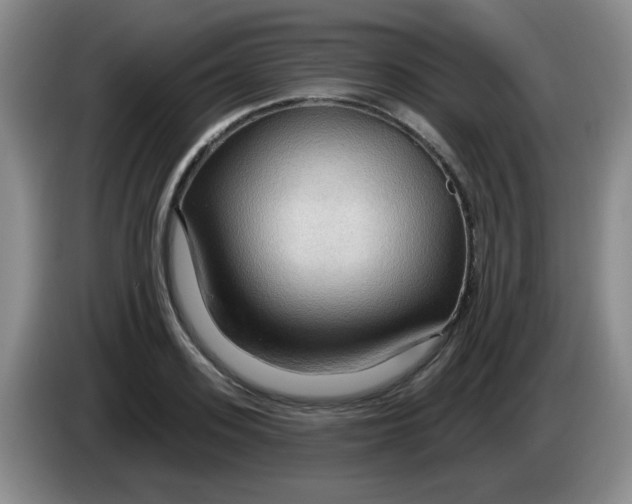 X0000083970939200703091759