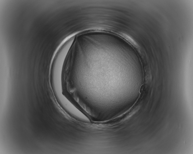 X0000083970940200703091759