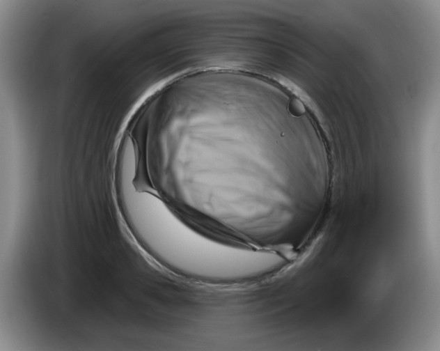 X0000083970941200703091759