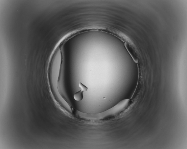 X0000083970942200703091759
