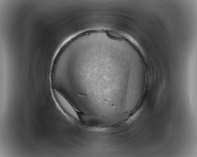 X0000083970943200703091759